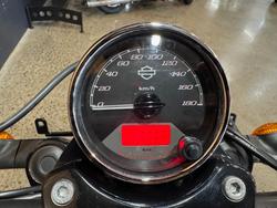2015 Harley-davidson STREET 500 (LAMS) Black