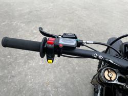 2025 Sur-ron LIGHT BEE X Purple