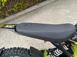 2025 Sur-ron LIGHT BEE X Green