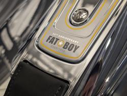 2025 Harley-Davidson Fat Boy Gray Ghost (FLSTFI) Softail