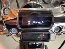 2021 Harley-Davidson Softail Standard 107 (FXST) Softail Black