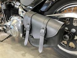 2021 Harley-Davidson Softail Standard 107 (FXST) Softail Black