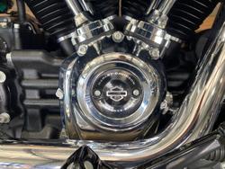 2021 Harley-Davidson Softail Standard 107 (FXST) Softail Black