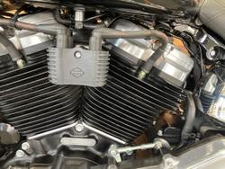 2021 Harley-Davidson Softail Standard 107 (FXST) Softail Black