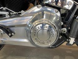 2021 Harley-Davidson Softail Standard 107 (FXST) Softail Black