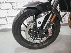 2024 Triumph Tiger 900 GT Tiger White
