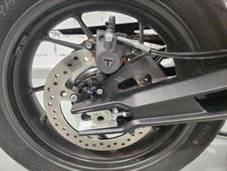 2024 Triumph Tiger 900 GT Tiger White
