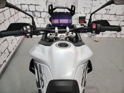 2024 Triumph Tiger 900 GT Tiger White