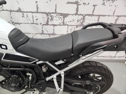 2024 Triumph Tiger 900 GT Tiger White