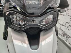 2024 Triumph Tiger 900 GT Tiger White