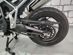 2024 Triumph Tiger 900 GT Tiger White