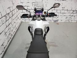2024 Triumph Tiger 900 GT Tiger White