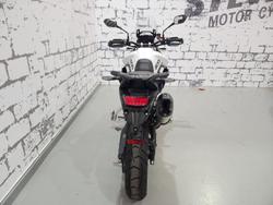 2024 Triumph Tiger 900 GT Tiger White