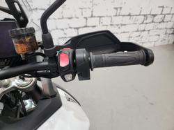 2024 Triumph Tiger 900 GT Tiger White