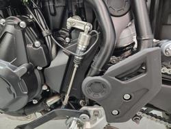 2024 Triumph Tiger 900 GT Tiger White