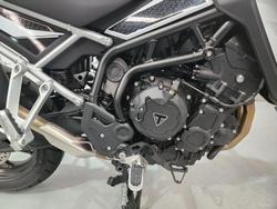 2024 Triumph Tiger 900 GT Tiger White