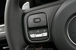 2025 GWM Cannon Premium