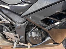 2013 Kawasaki NINJA 300 SE ABS GREEN