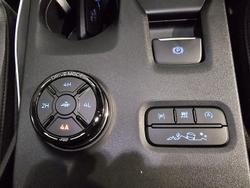 2025 Ford
                Everest Sport