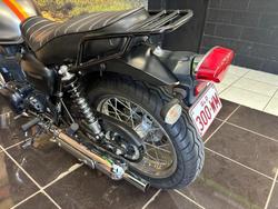 2020 Kawasaki W800 STREET (EJ800) Grey