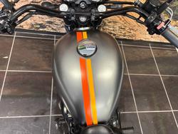 2020 Kawasaki W800 STREET (EJ800) Grey