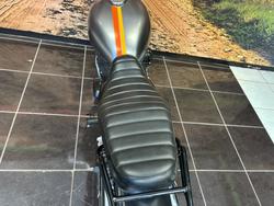 2020 Kawasaki W800 STREET (EJ800) Grey