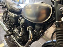 2020 Kawasaki W800 STREET (EJ800) Grey