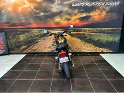 2020 Kawasaki W800 STREET (EJ800) Grey