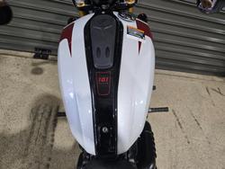 2025 INDIAN SCOUT 101 LIMITED GHOST WHITE METALLIC