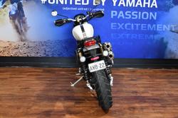 2020 TRIUMPH SCRAMBLER 1200 XE White