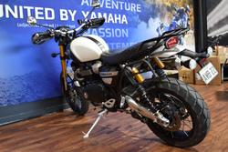 2020 TRIUMPH SCRAMBLER 1200 XE White