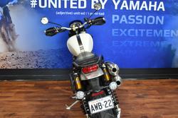 2020 TRIUMPH SCRAMBLER 1200 XE White