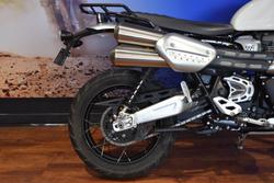 2020 TRIUMPH SCRAMBLER 1200 XE White