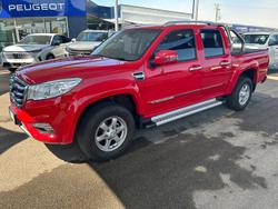 Great Wall Steed