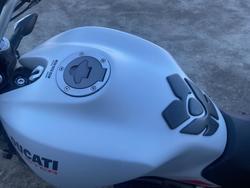 2021 DUCATI MONSTER 659 (ABS) White