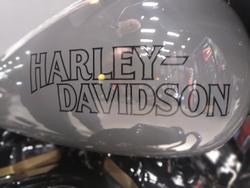 2022 Harley-Davidson Street Glide ST 117 (FLHXST) Touring