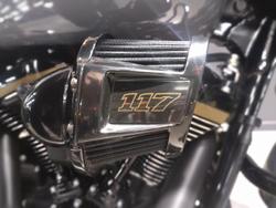 2022 Harley-Davidson Street Glide ST 117 (FLHXST) Touring