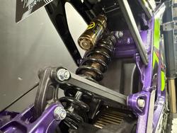 2025 Sur-ron 2025 SUR-RON ELECTRIC LIGHT BEE X TRAIL Purple