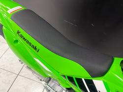 2025 Kawasaki KLX110R Green