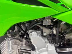 2025 Kawasaki KLX110R Green