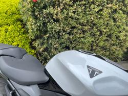 2025 Triumph DAYTONA 660 White