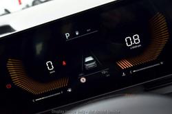 2025 Kia
                Carnival S