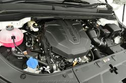 2025 Kia
                Carnival S