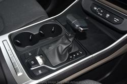 2025 Kia
                Carnival S