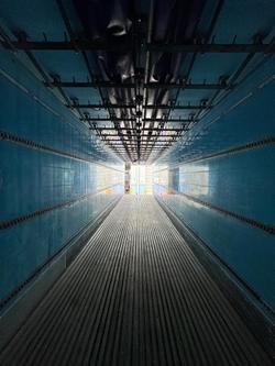 2011 Maxitrans
                St3 22 Pallet -28 Freezer Meat Hanger 