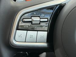 2025 GWM Cannon Alpha Lux PHEV