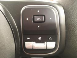 2025 GWM CANNON ULTRA (4x4)