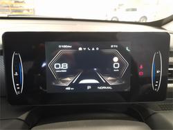 2025 GWM CANNON ULTRA (4x4)