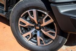 2025 GWM
Tank 300 Ultra