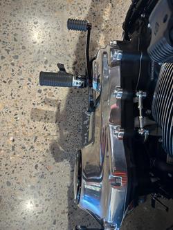 2025 Harley-Davidson Street Bob 117 (FXBB) Softail Purple